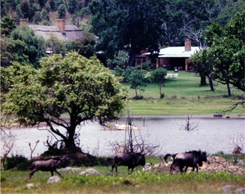 Umsengesi Farm, Zimbabwe