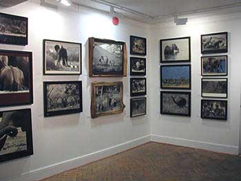 Arndean Gallery, London 2003